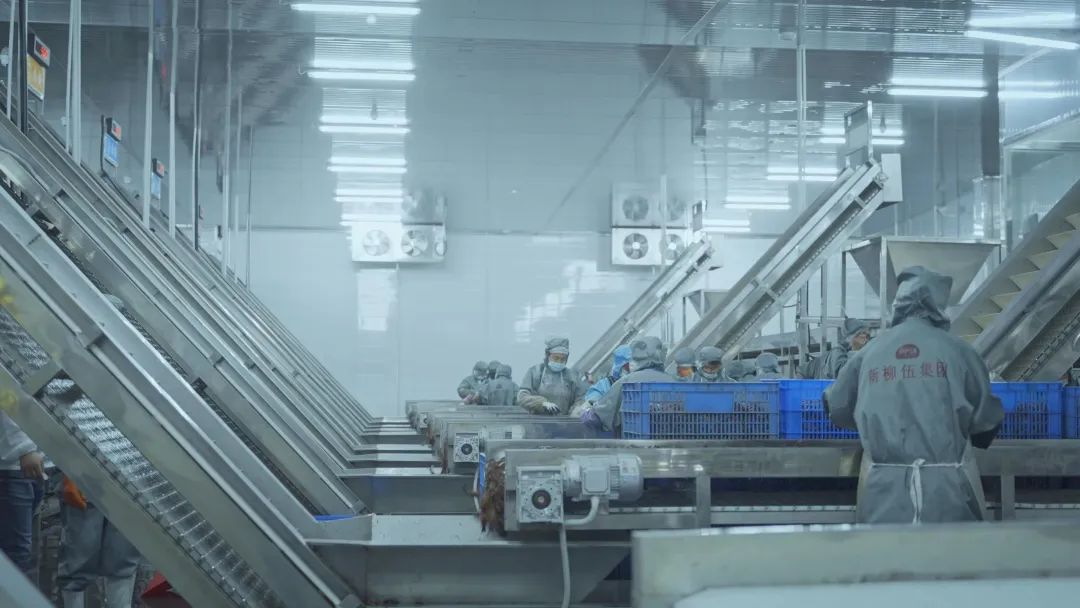 亿万先生mr·(中国区)官方网站