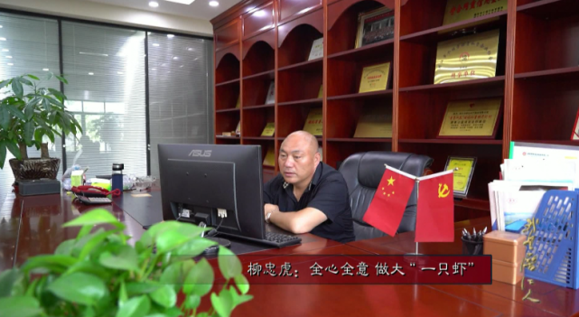 深耕龙虾20年，，，，，，年收入6亿潜江柳伍水产